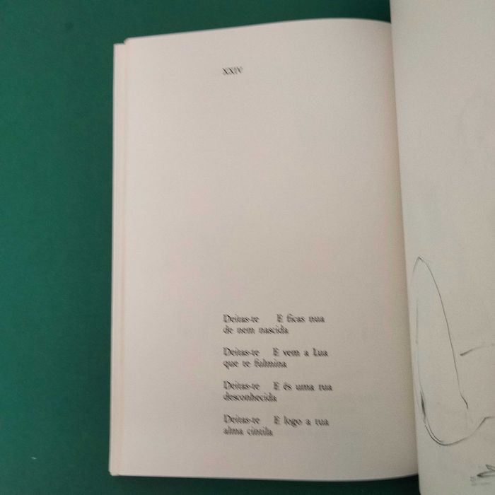 O Corpo Iluminado - David Mourão-Ferreira / Francisco Simões