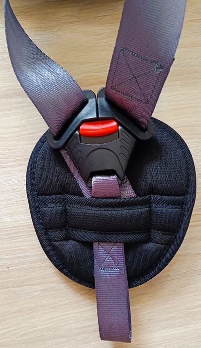 Cadeira auto Bébé Confort Ever Safe + | 9 - 36 kg