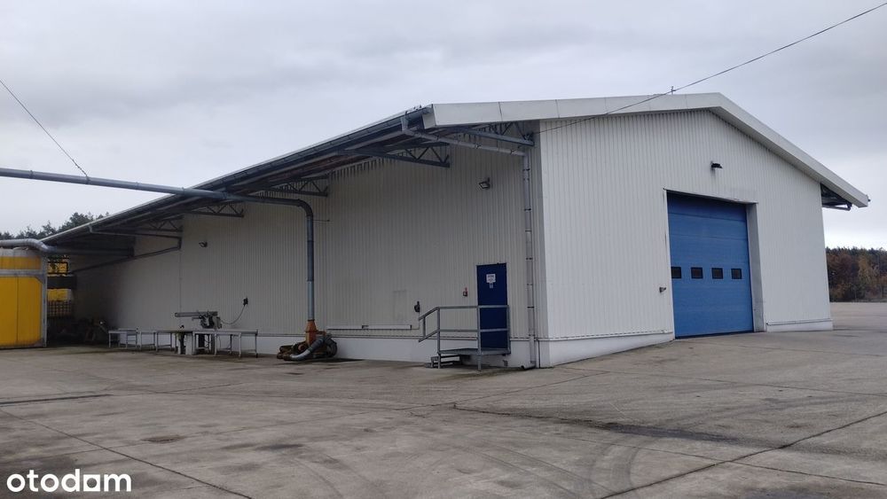 Wynajmę lub sprzedam halę