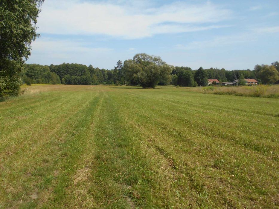 Działka budowlana 3001m2 i leśna 16000m2 do sprzedania łącznie.