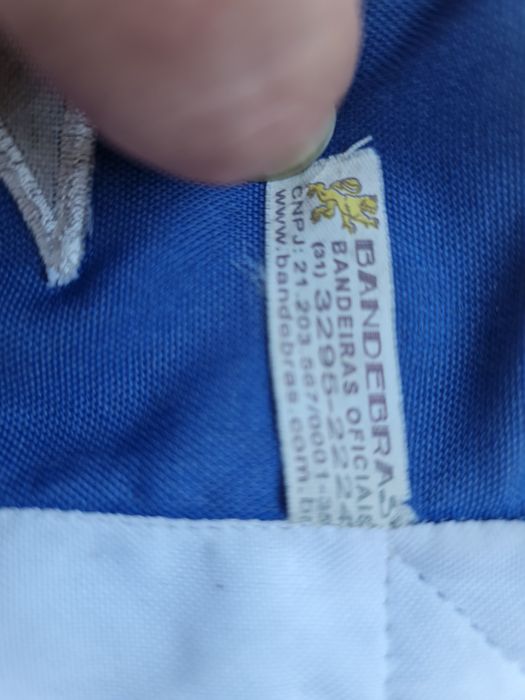 Bandeira brasileira de Goiás