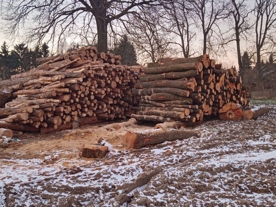 Drewno Opał, Kominkowe NAJTANIEJ !!
