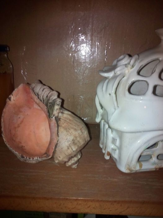 Sprzedam muszle wszystkie za 40zl