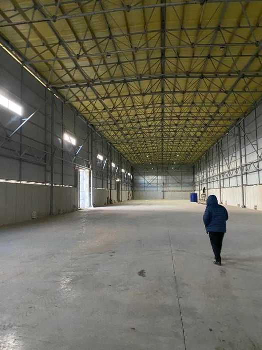 Сдам 3 отдельных склада (общая площадь 5000 кв.м)