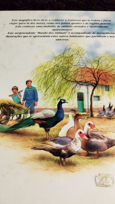 Livro do mundo animal