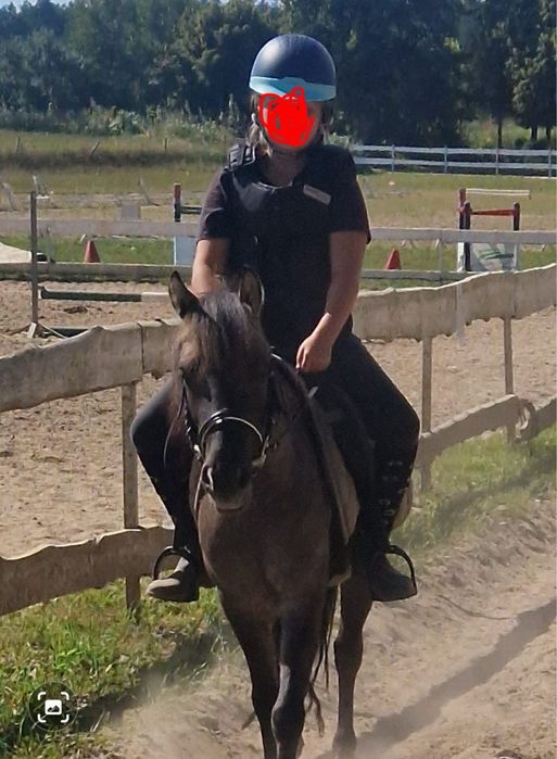 Kucyk klacz 4 lata.