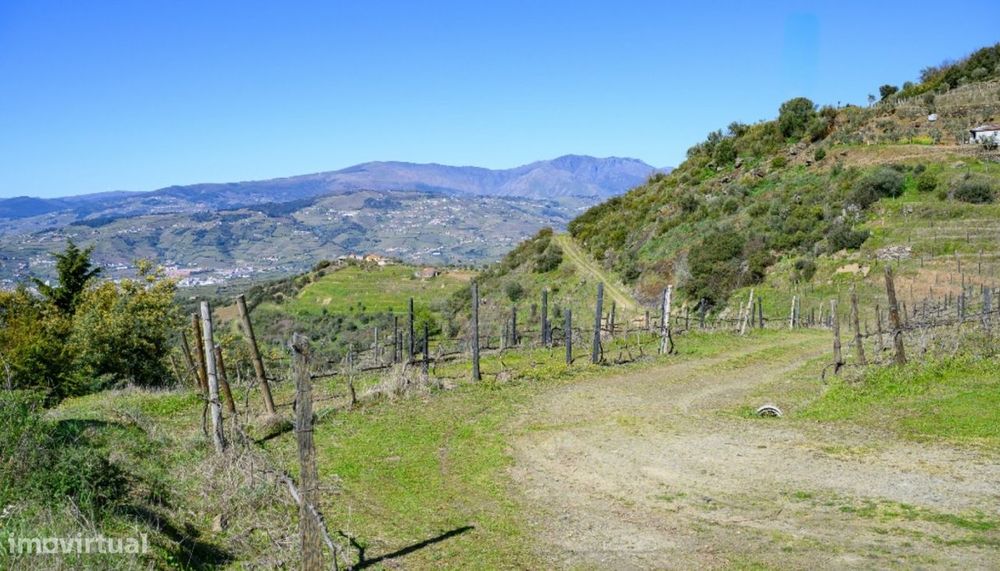 Quinta vínicola à venda no Peso da Régua no Douro Valley