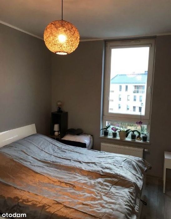 2 pokoje | 41,3m²  | Mistral | Komórka lokatorska | Bez pośredników - View 4