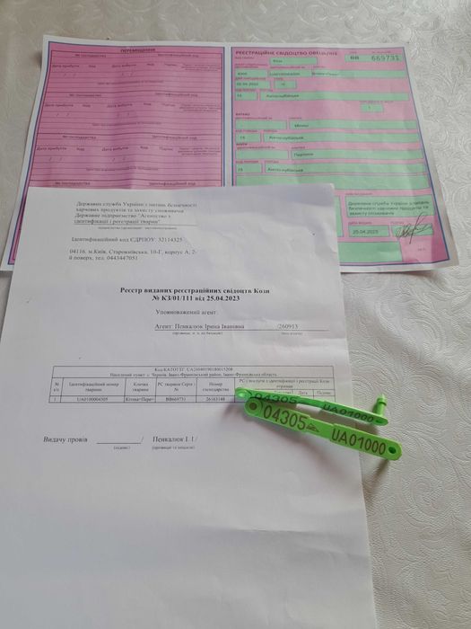 Продається 100% англо - нубійський цап, кози АН.