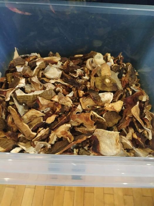 Aromatyczny MIX Suszonych Grzybów – Top Jakość, Legalny Produkt