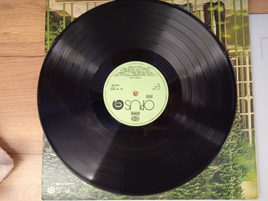 Corvina Dream no more winyl