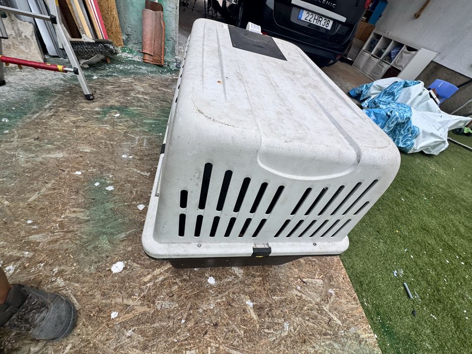 Caixa de transponte cão