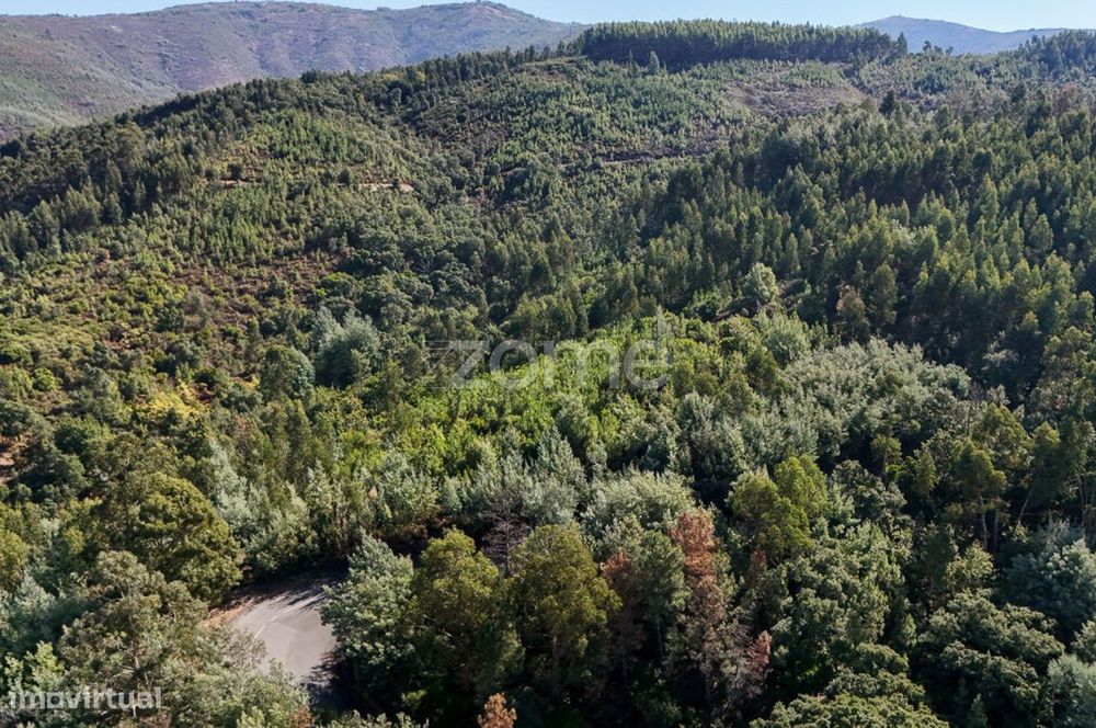 Terreno em Folques, Arganil