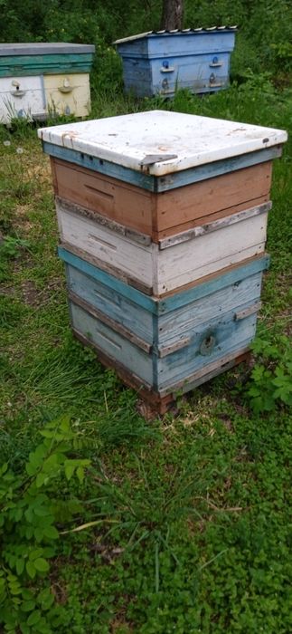 Суш, полурамка!!