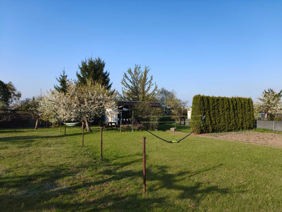 Działka ROD "Pod Lipami" ul. Działkowców, 507 m² - Widok 3