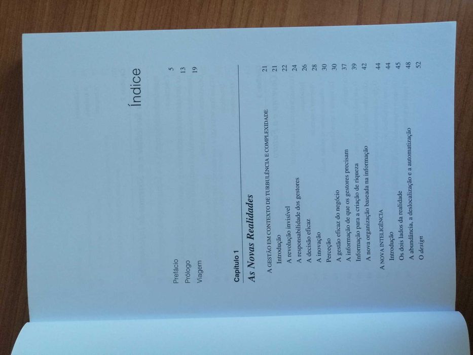 Livro Novas Realidades na Gestão e na Gestão da Informação-José Rascão