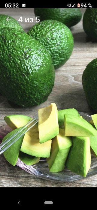 Семена карликового авакадо