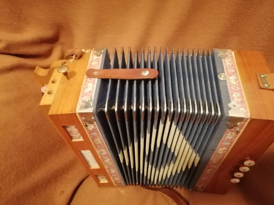 Concertina Organetto 3 *Voz