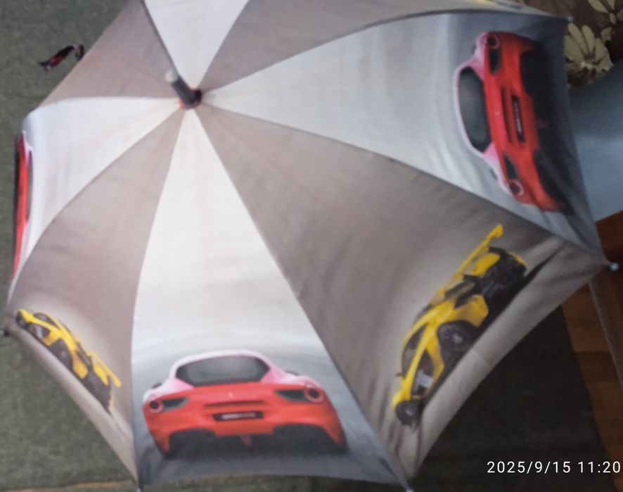 Парасоля хлопчача