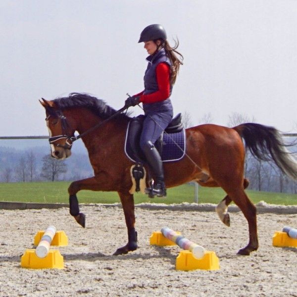 Krzyżak do cavaletti plastikowy - 2 szt - niebieski i żółty