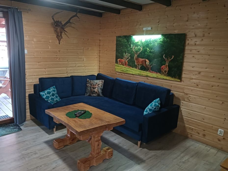 Domek JELENIÓWKA w LESIE - BASEN Bania Bilard KASZUBY jeziora Za