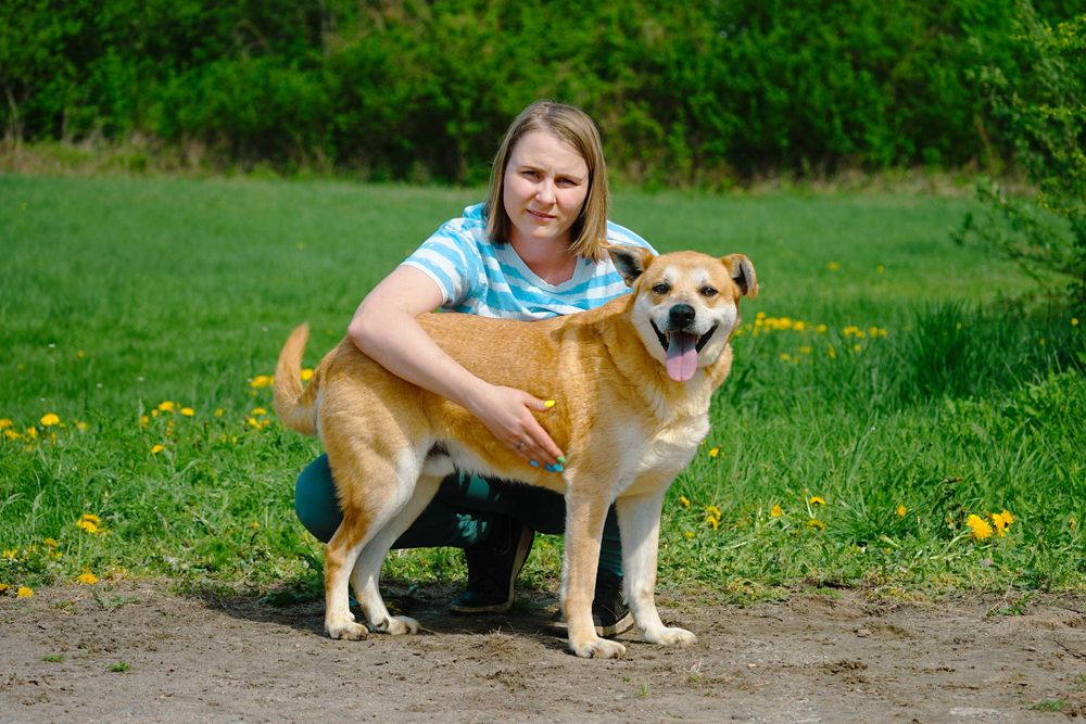 Aran - piękny pies szuka domu