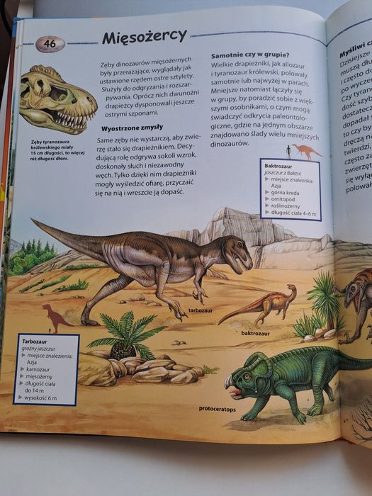 Młody odkrywca.Dinozaury