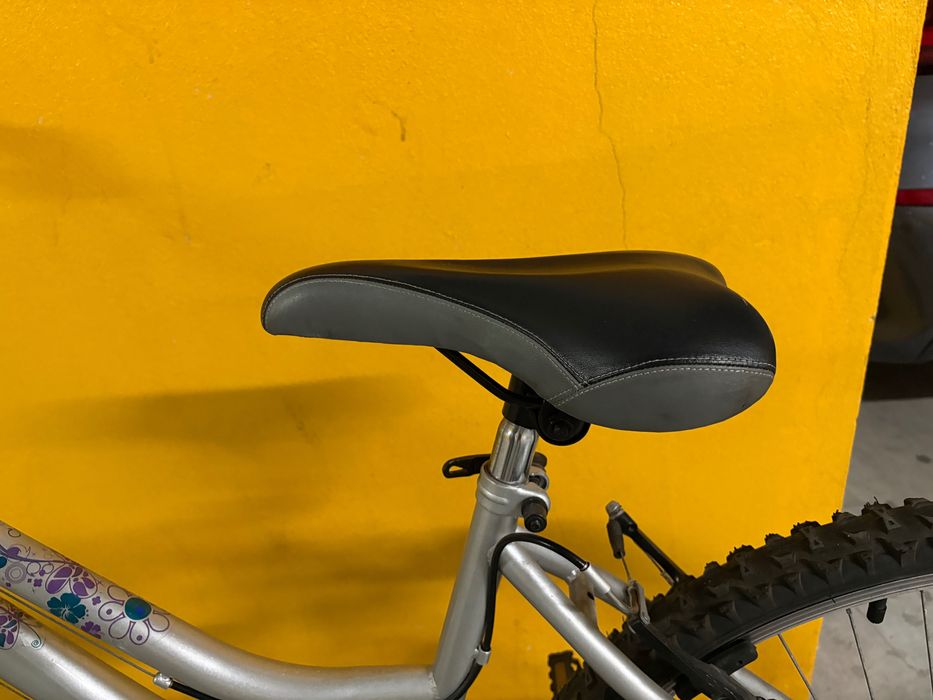 Bicicleta Mulher Adulto