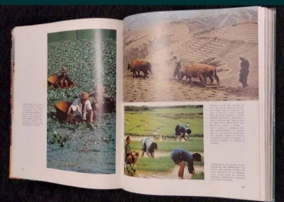 Livro das Seleções do Reeders Digest como novo.