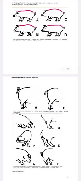 NOTATKI Technik weterynarii 2026 - Chów i hodowla zwierząt ANATOMIA