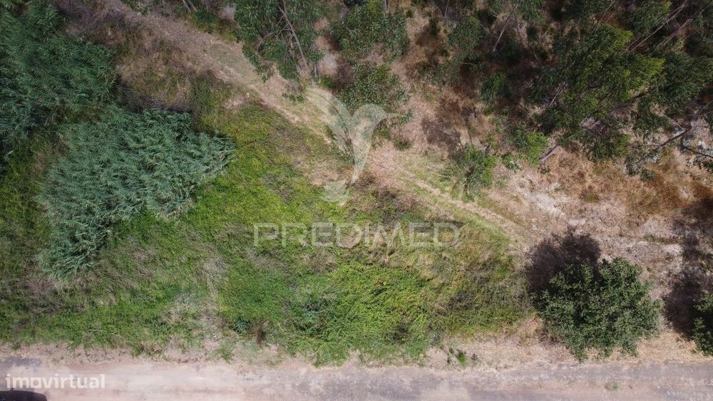 Terreno Rústico com Viabilidade de Construção em Vidais – 3100m² de... — Vidais, Leiria