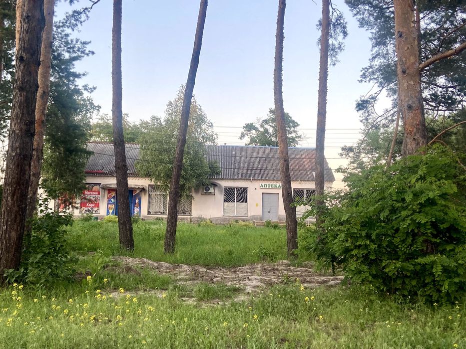продам земельну ділянку 43 сот Київська Вишгородський Жукин садівництво
