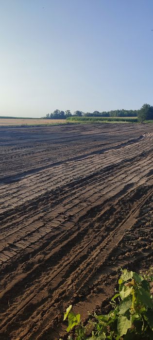 Mulczowanie  powierzchniowe i wgłębne