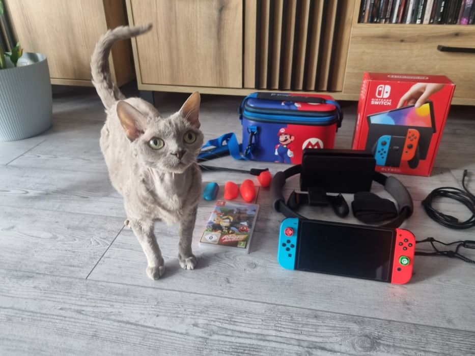 Nintendo switch Oled + Ring Fit + torba