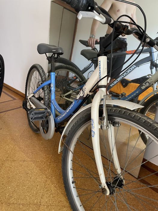 Bicicleta simples