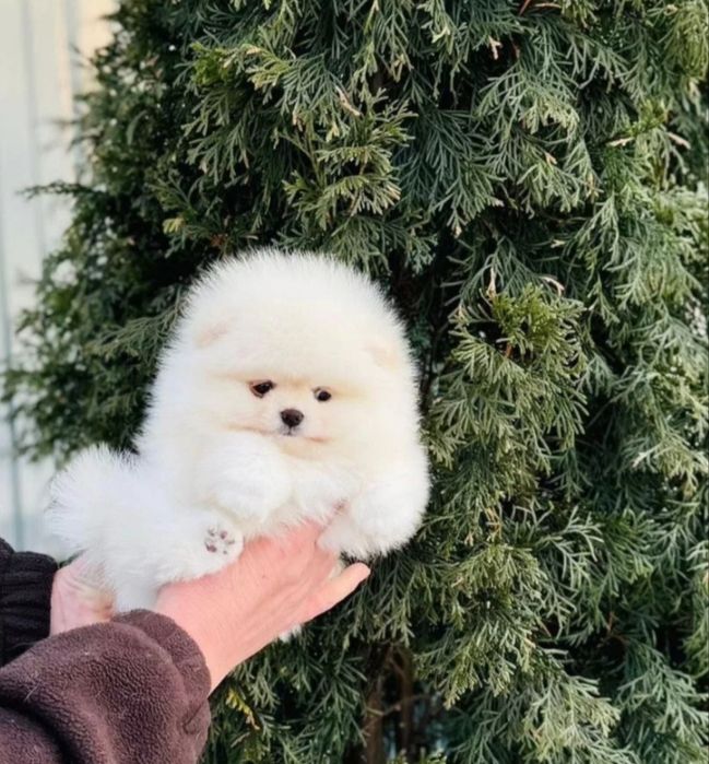 Мальчики красавчики