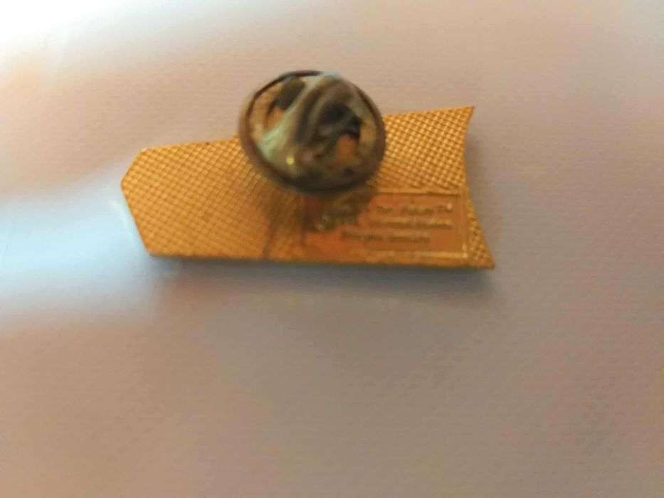 Pin Back to the future