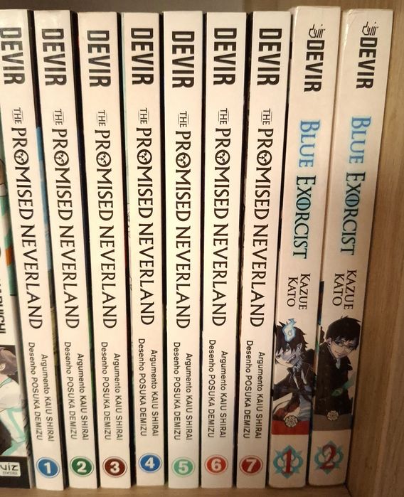 Demon Slayer/My Hero Academia/One Punch Man/The Promised Neverland/...