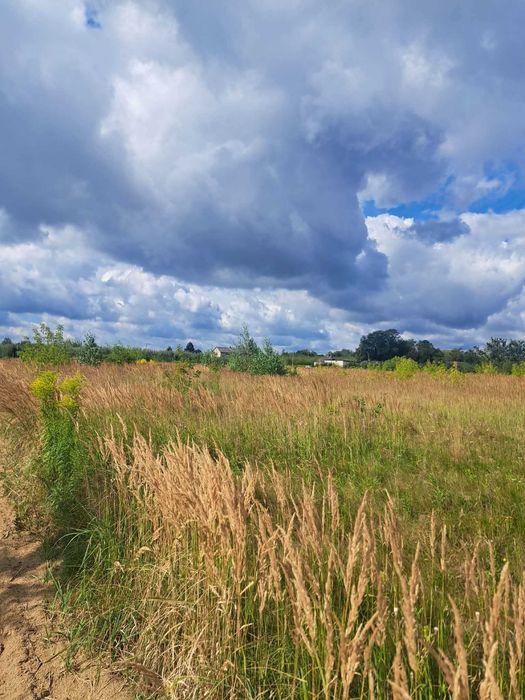 Działka 3700m2 z WZ na dom jednorodzinny i budynek gosp.