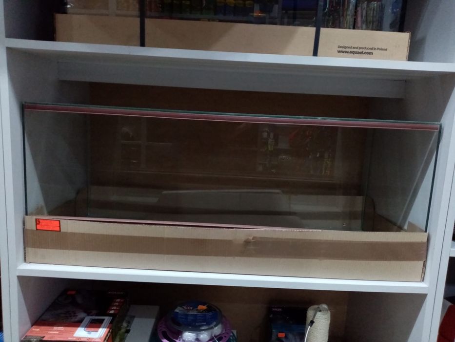 Terrarium 100x40x40 - Tina Zoo Gliwice Witkiewicza