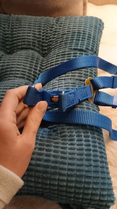 Шлея Тріксі синя M