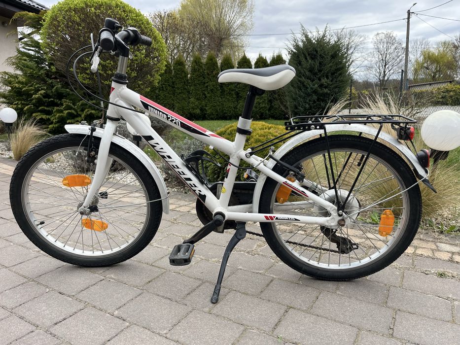 Rower dziecięcy 20” Wheeler