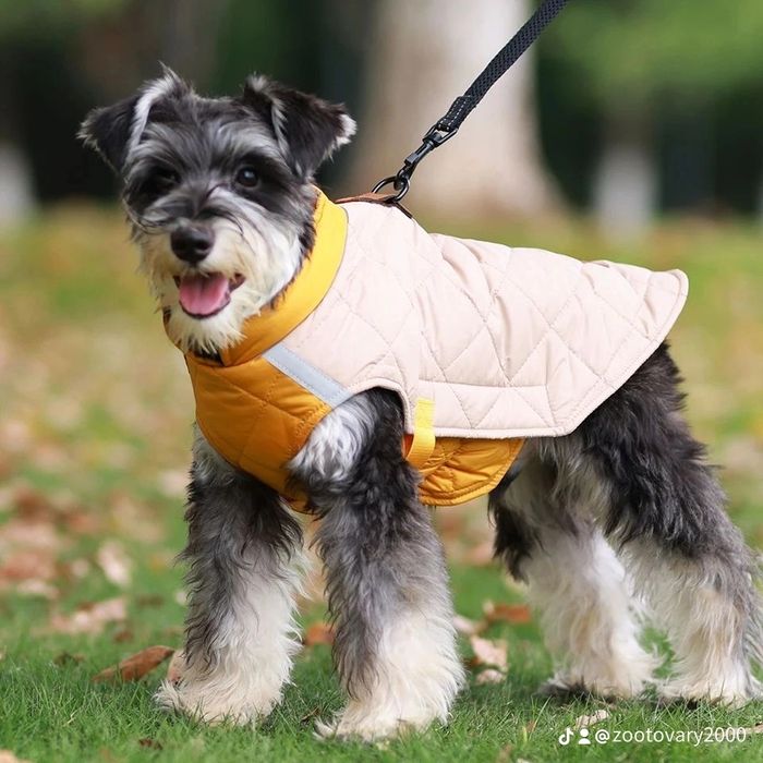 Одяг для собак...