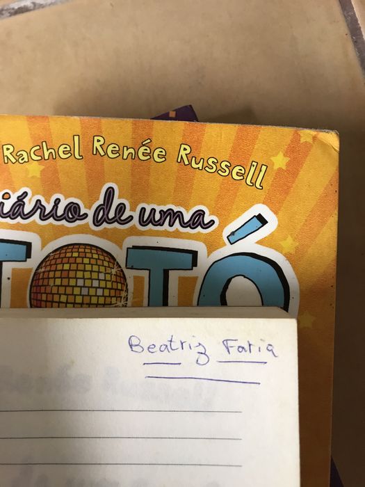 Diario de uma toto 2