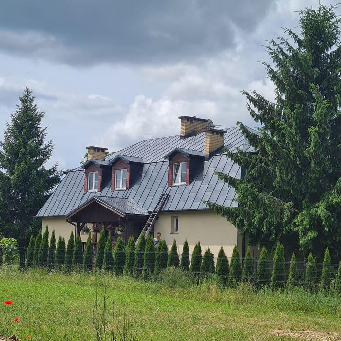 Mycie,Malowanie dachów