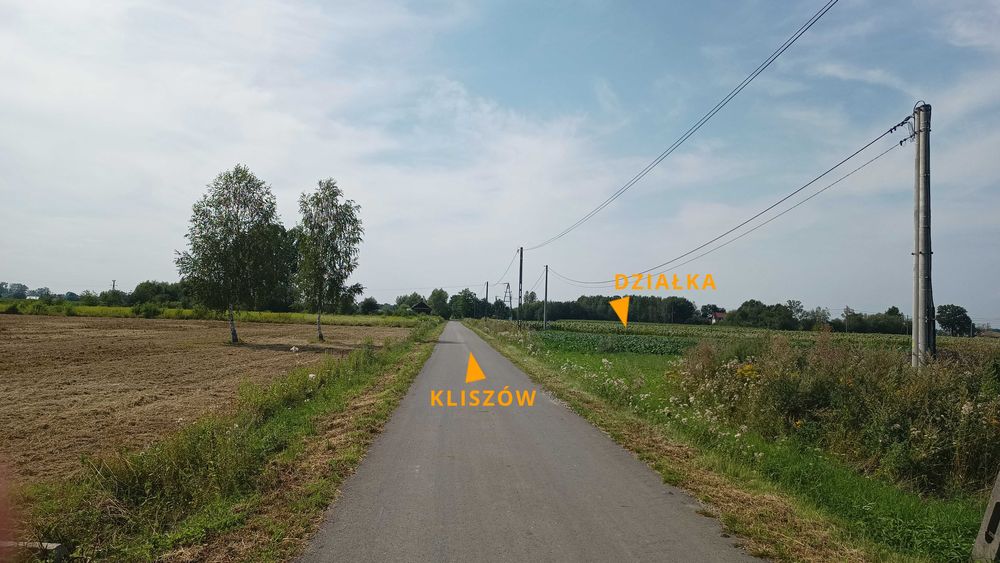 Atrakcyjna działka budowlana 55,64 ar, WZ na 4 domy, Kliszów k. Mielca