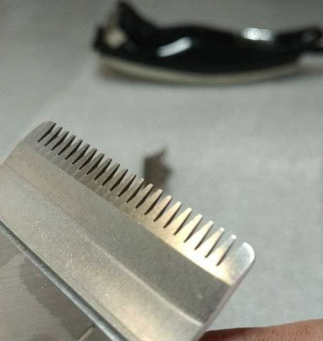 Заточування ножів м. Первомайськ. Професійна заточка ножів.