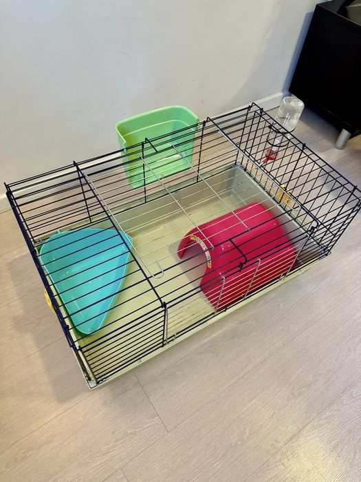 Gaiola de coelho + acessórios