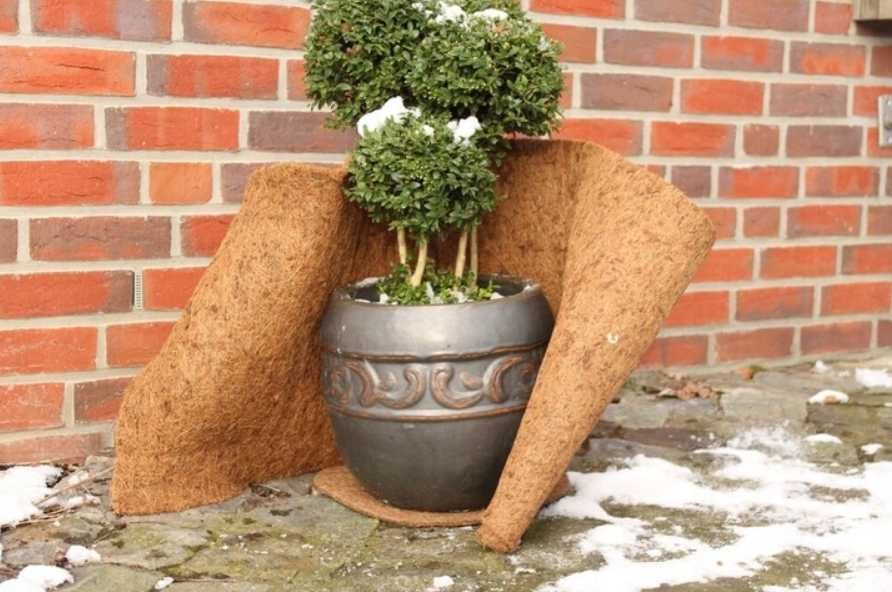 Кокосовий килимок Parkside 50 x 150 см / ZJ