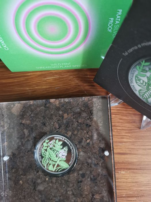 Moeda comemorativa Proof, em prata 925 Hortelã brava